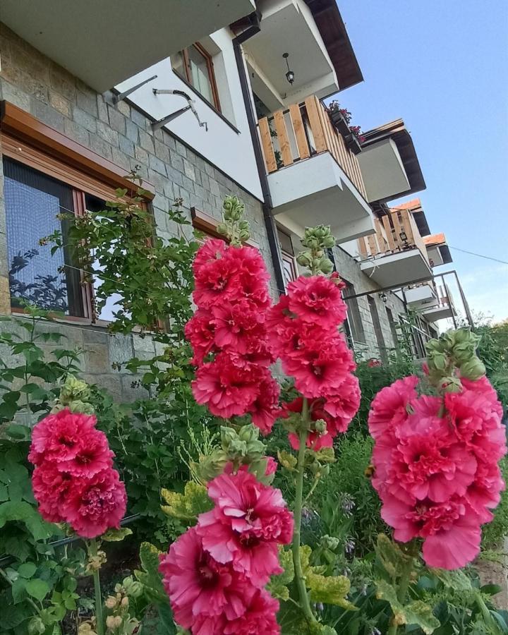 Lesnovo House Tomevski Ngoại thất bức ảnh